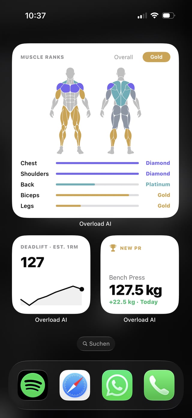 Muscle ranks widget